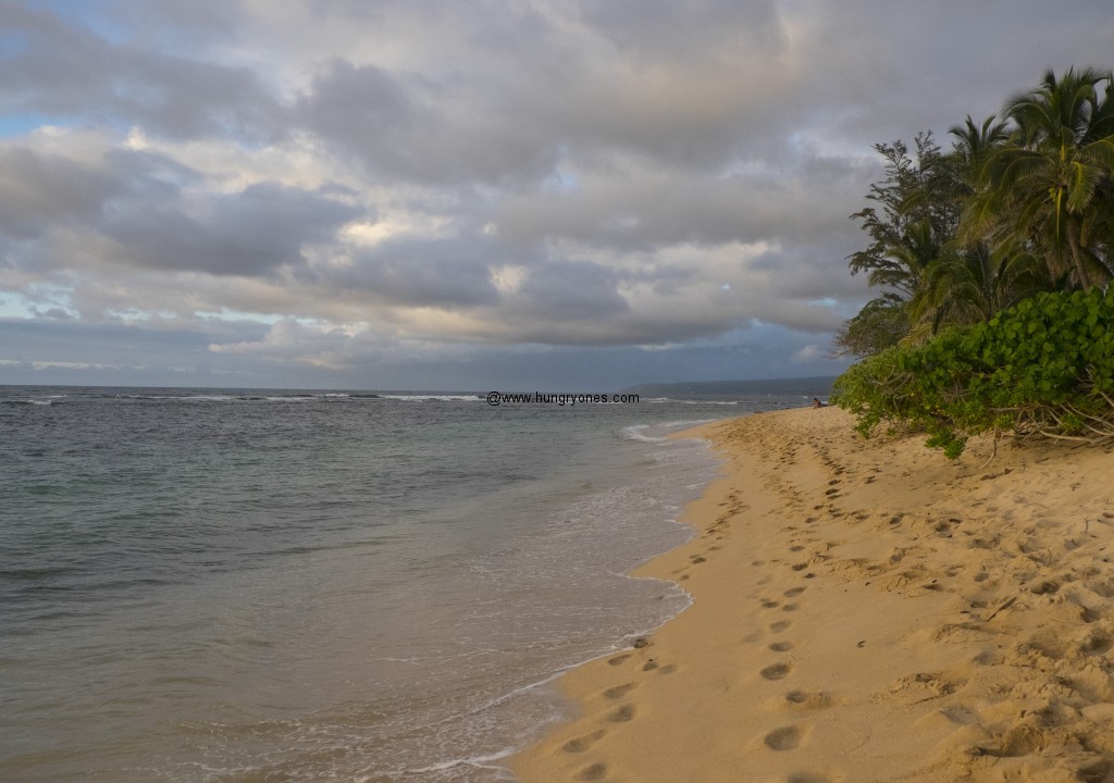 crozier.beach.6680