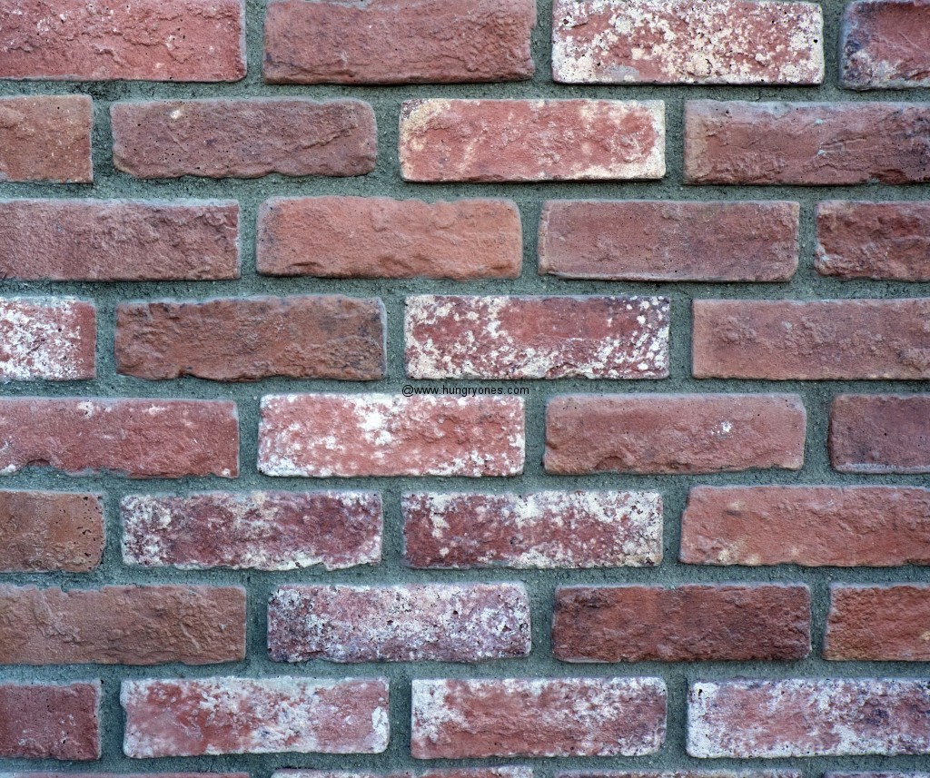 Bricks in the wall.