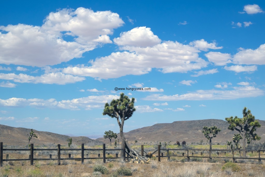 pioneertown5072