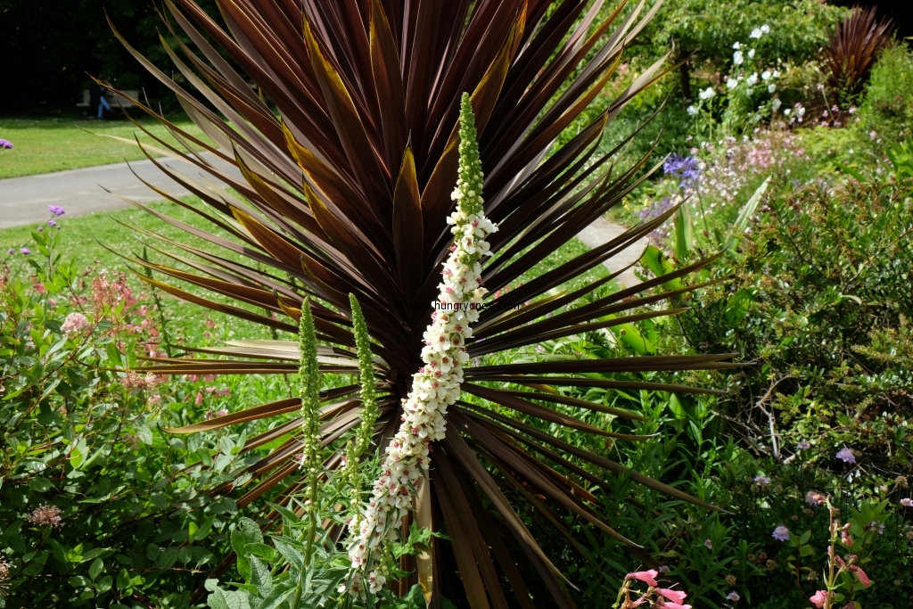 sf.botanical.garden.9437